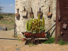 Alte-Kalkofen_Kaktus-Karre