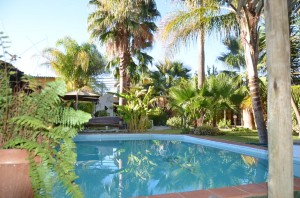 River-Guesthouse_Garten-und-Swimming-Pool