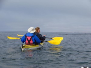 Namibia-Kayak-Tours_im-Kayak-bei-Walvis-Bay