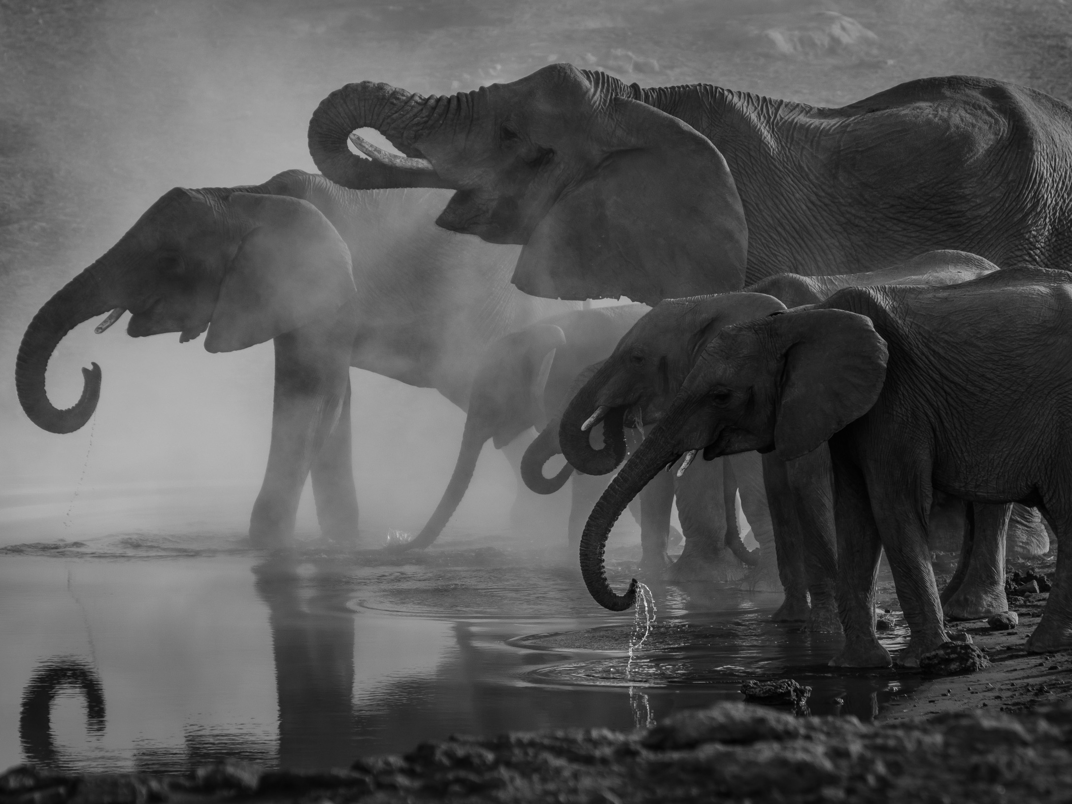 Etosha: Elefanten am Wasserloch
