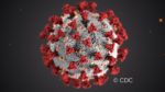 Computergeneriertes Bild der Struktur des Corona Virus