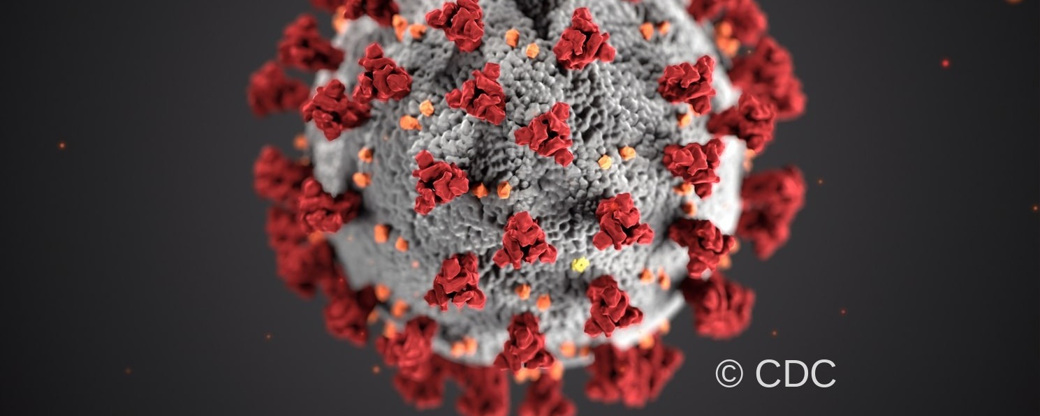 Computergeneriertes Bild der Struktur vom Corona-Virus SARS-CoV-2