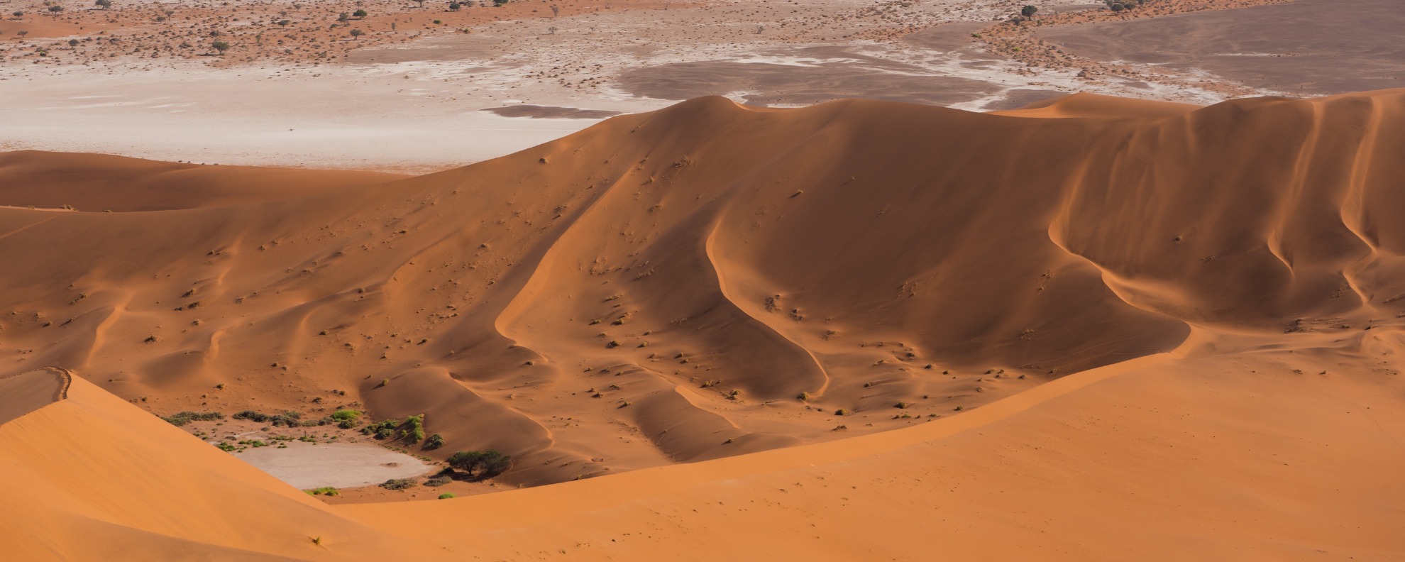 Blick von einer Düne des namibischen Sossusvlei in die Lehm- & Salzpfannen