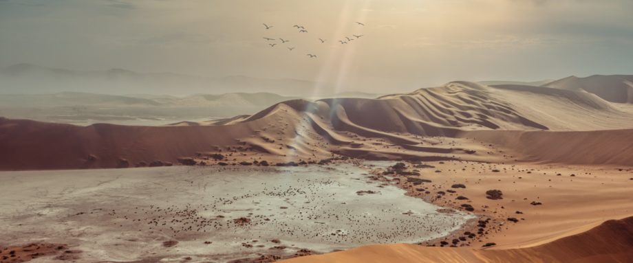 Blick über eine Salzpfanne beim Sossusvlei