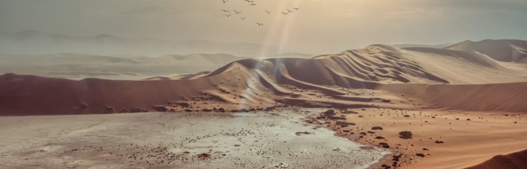 Blick über eine Salzpfanne beim Sossusvlei